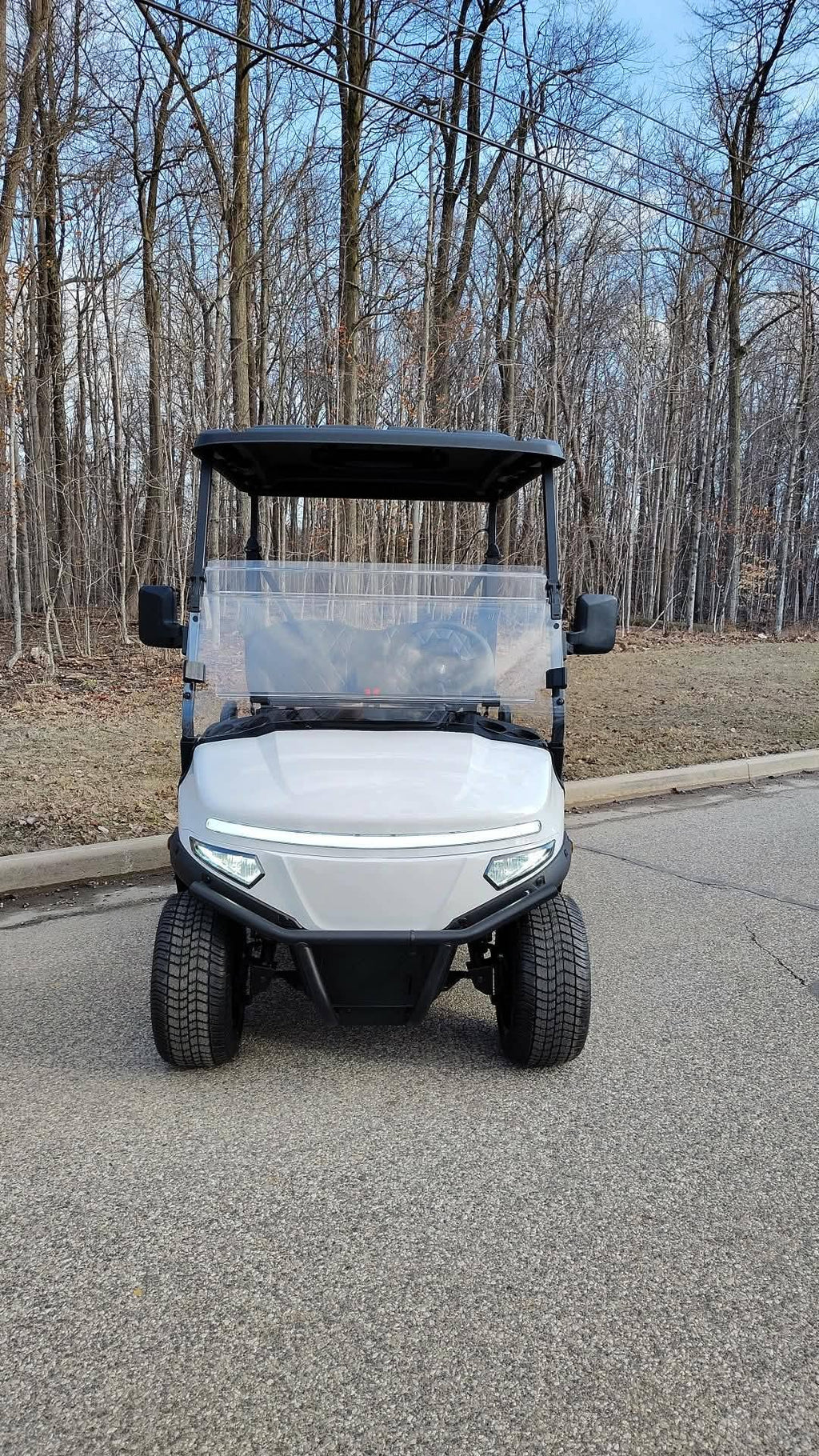 2026 Denago Scout EV