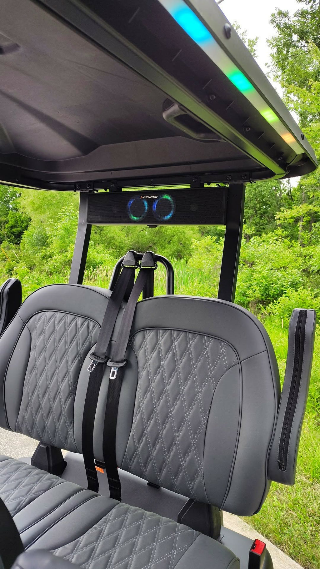 Denago EV Rover XL in Matte Black