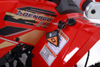 Denago PowerSports Trailhawk 10FI ATV Black
