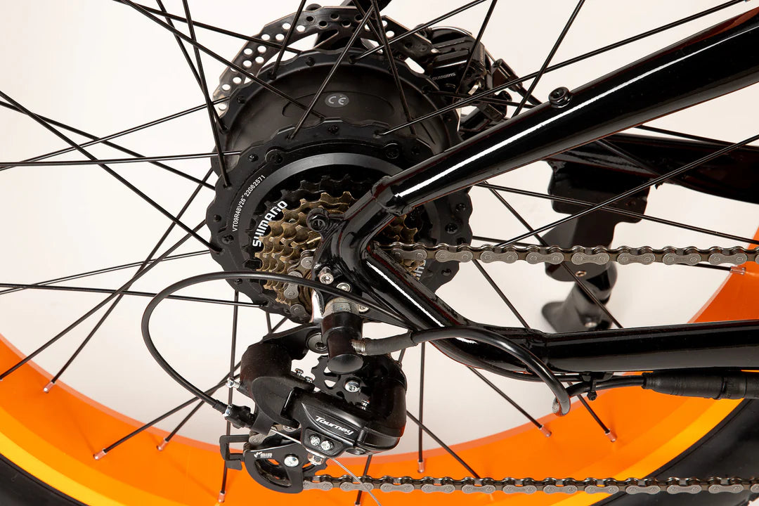 Fat Cat ST Electric Bike