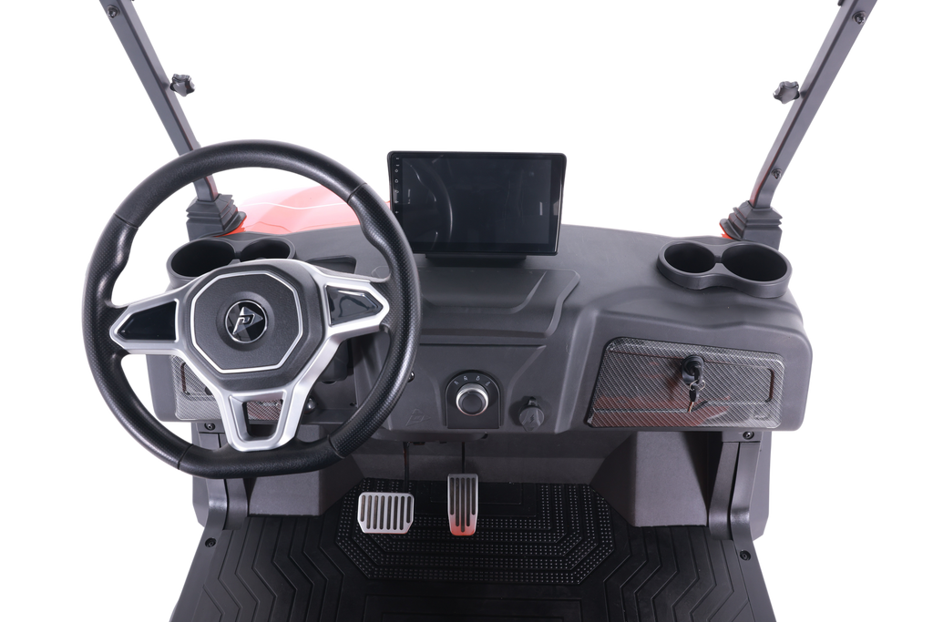 Denago EV Rover XL Gray
