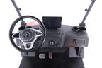 Denago EV Rover XXL Gray