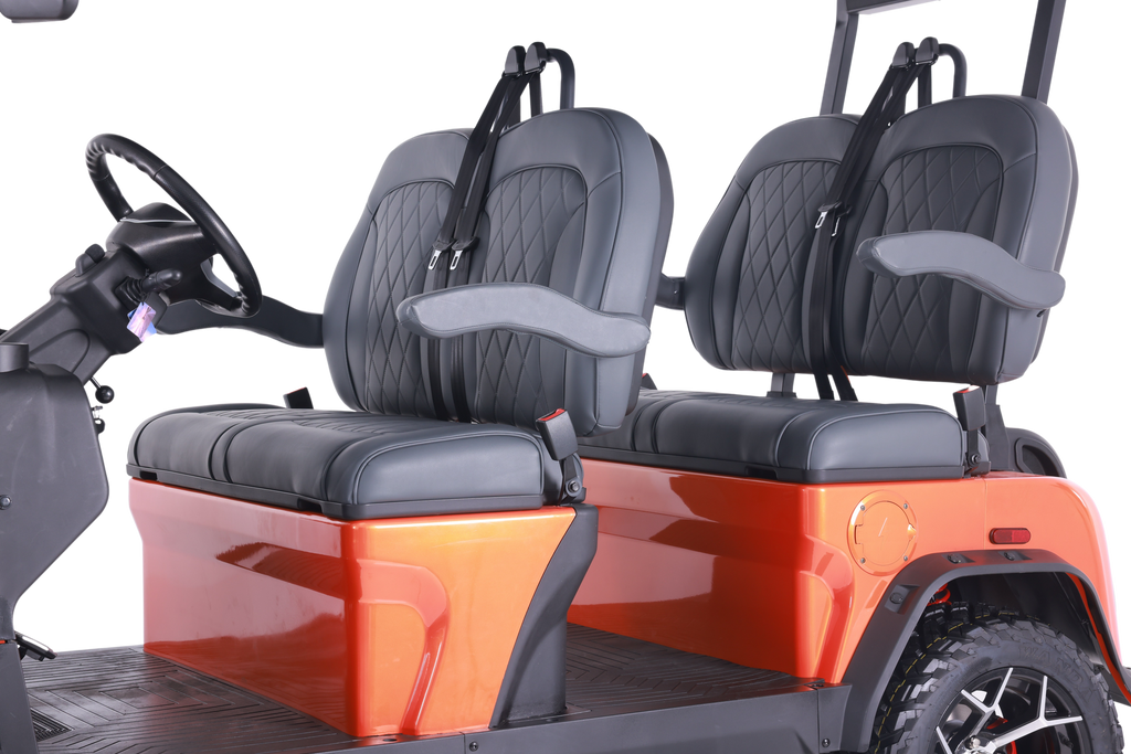 Denago EV Rover XL Gray