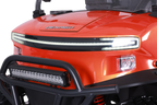 Denago EV Rover XL6 Gray