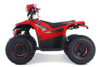 Denago Powersports E-Hawk 6 ATV