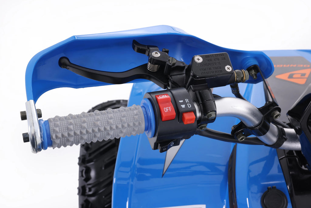 Denago Powersports E-Hawk 6 ATV