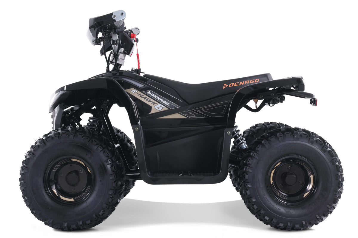 Denago Powersports E-Hawk 6 ATV