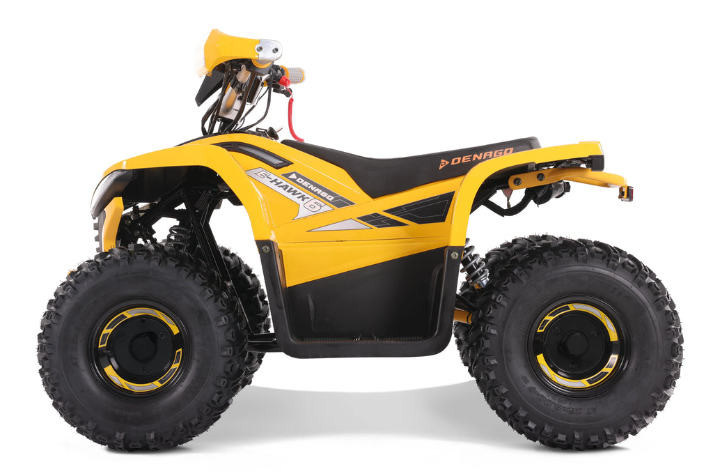 Denago Powersports E-Hawk 6 ATV