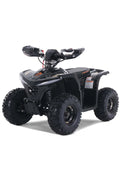 Denago PowerSport E-Hawk 6 ATV Black