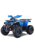 Denago PowerSports Mudhawk 10FI ATV