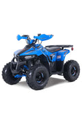 Denago PowerSports Mudhawk 6 ATV Blue
