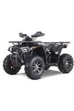 Denago PowerSports Mudhawk 200FI ATV