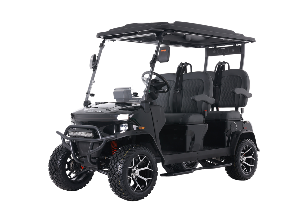 Denago EV Rover XL Black