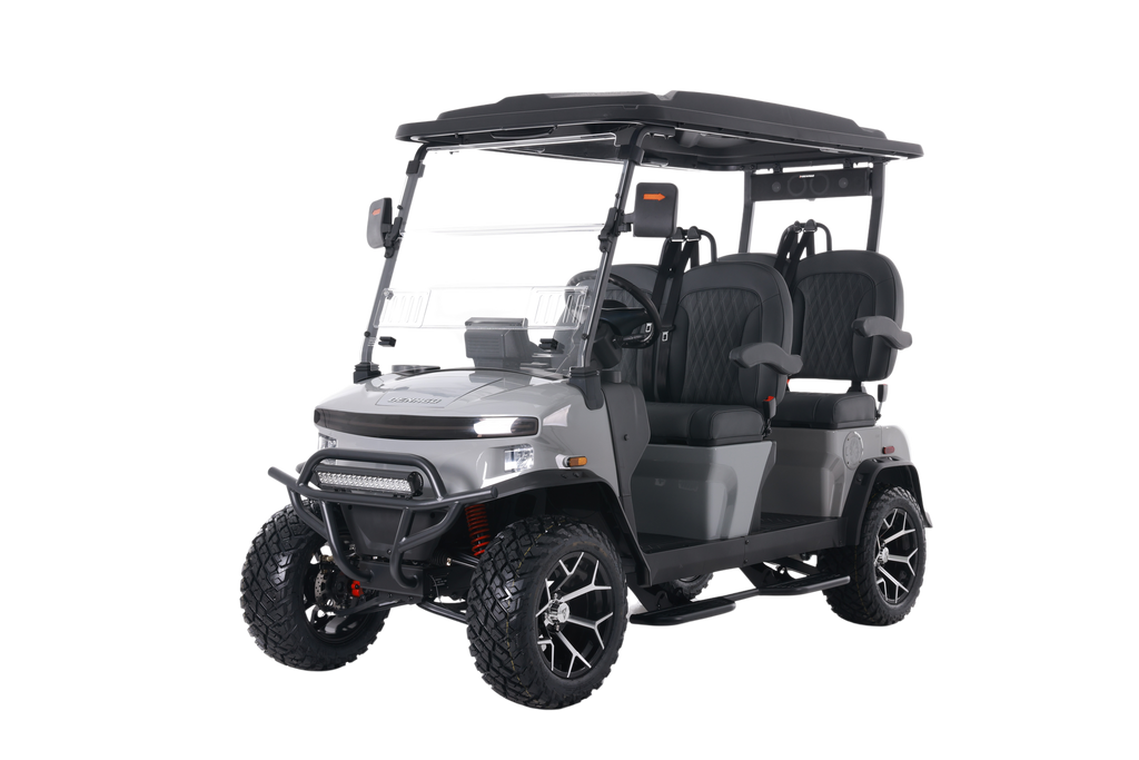 Denago EV Rover XL Gray