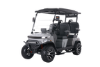 Denago EV Rover XL Gray