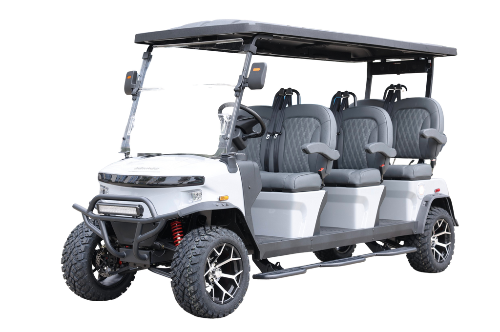 Denago EV Rover XXL Gray