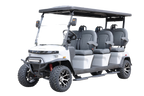 Denago EV Rover XXL Gray