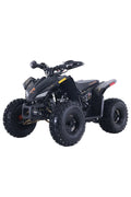Denago PowerSports Trailhawk 10FI ATV Black