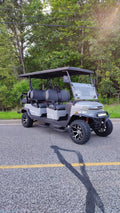 Denago EV Rover XL 6