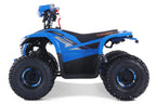 Denago Powersports E-Hawk 6 ATV