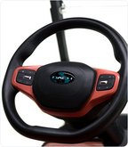 Dach Apollo Black