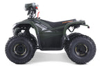 Denago Powersports E-Hawk 6 ATV