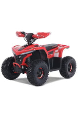 Denago Powersports E-Hawk 6 ATV